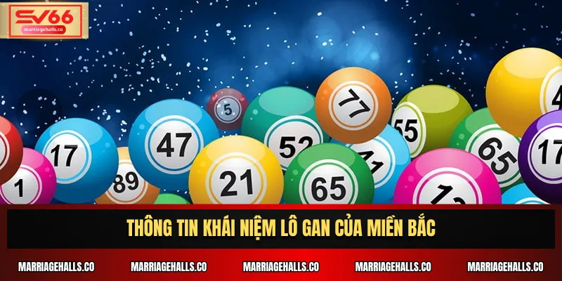 Thông tin khái niệm lô gan của miền Bắc