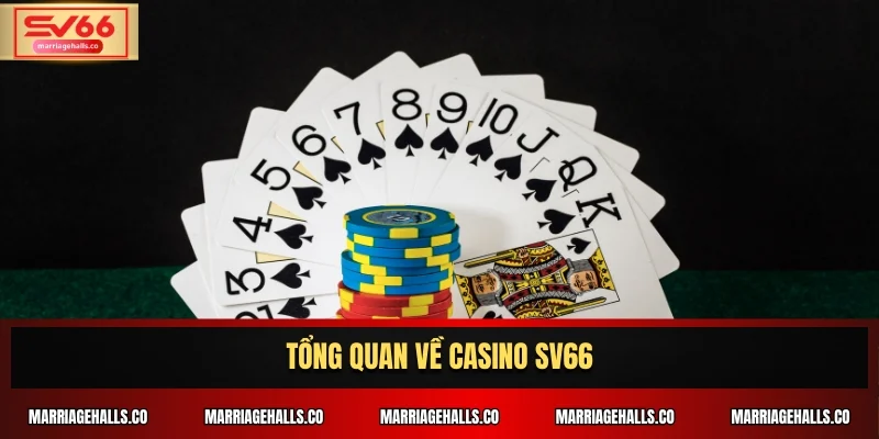 Tổng quan về Casino SV66